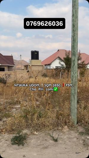 Kiwanja kinauzwa Ntyuka UDOM - Ushuarini, Dodoma (1650 sqm)