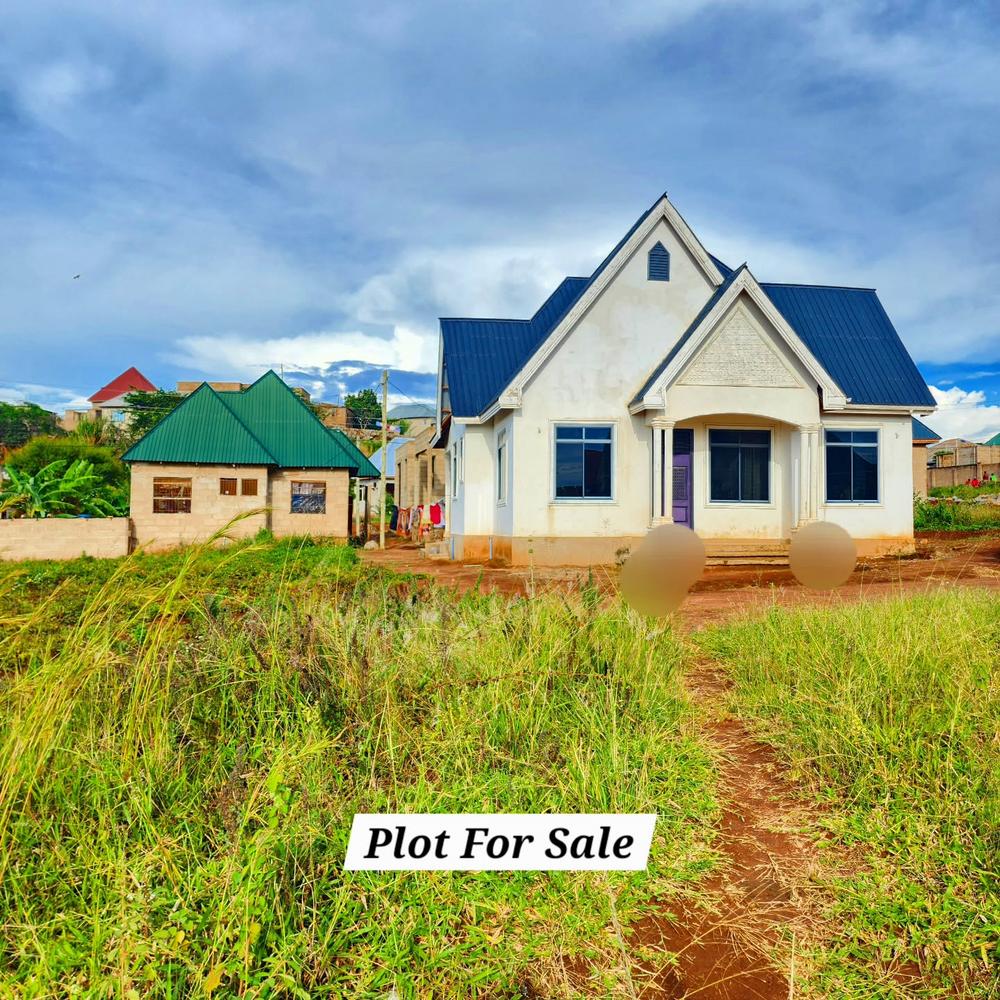media -6