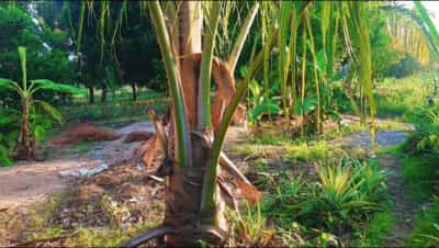 Nyumba ya vyumba viwili inauzwa Kiwangwa Pipani, Pwani (225 sqm)