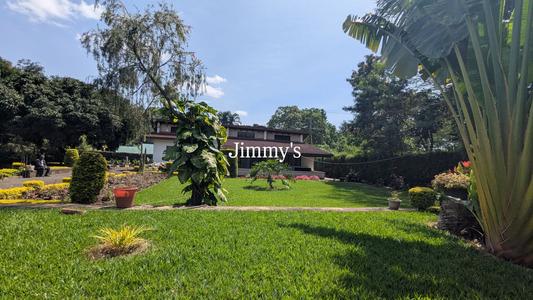 3 Bedrooms Furnished House for Rent in Sakina, Arusha (1 acre) 3 Bedrooms Furnished House for Rent in Sakina, Arusha (1 acre)