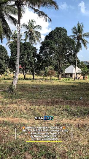 Kiwanja kinauzwa Tegeta A, Dar Es Salaam sqm 3000 Kiwanja kinauzwa Tegeta A, Dar Es Salaam sqm 3000