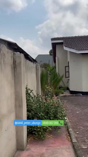 3 Bedrooms House for Rent in Tabata Segerea Kwa Bibi, Dar Es Salaam 3 Bedrooms House for Rent in Tabata Segerea Kwa Bibi, Dar Es Salaam