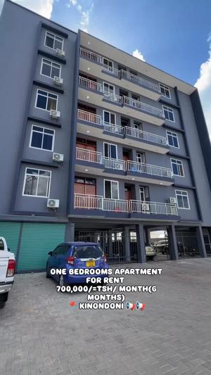 Nyumba/Apartment ya chumba kimoja inapangishwa Kinondoni Vijana, Dar Es Salaam