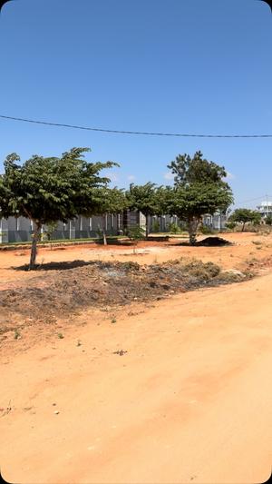 Kiwanja kinauzwa Mwangaza, Dodoma Town sqm 2220