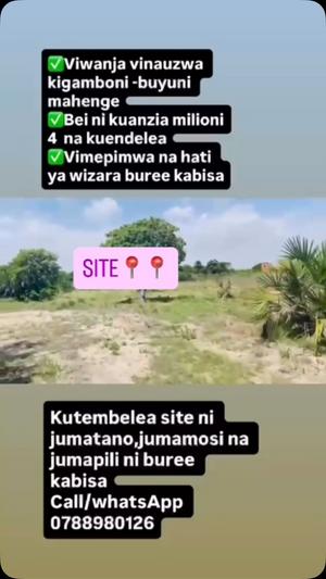 Viwanja vinauzwa Buyuni Mahenge, Kigamboni, Dar Es Salaam (382 sqm) Viwanja vinauzwa Buyuni Mahenge, Kigamboni, Dar Es Salaam (382 sqm)