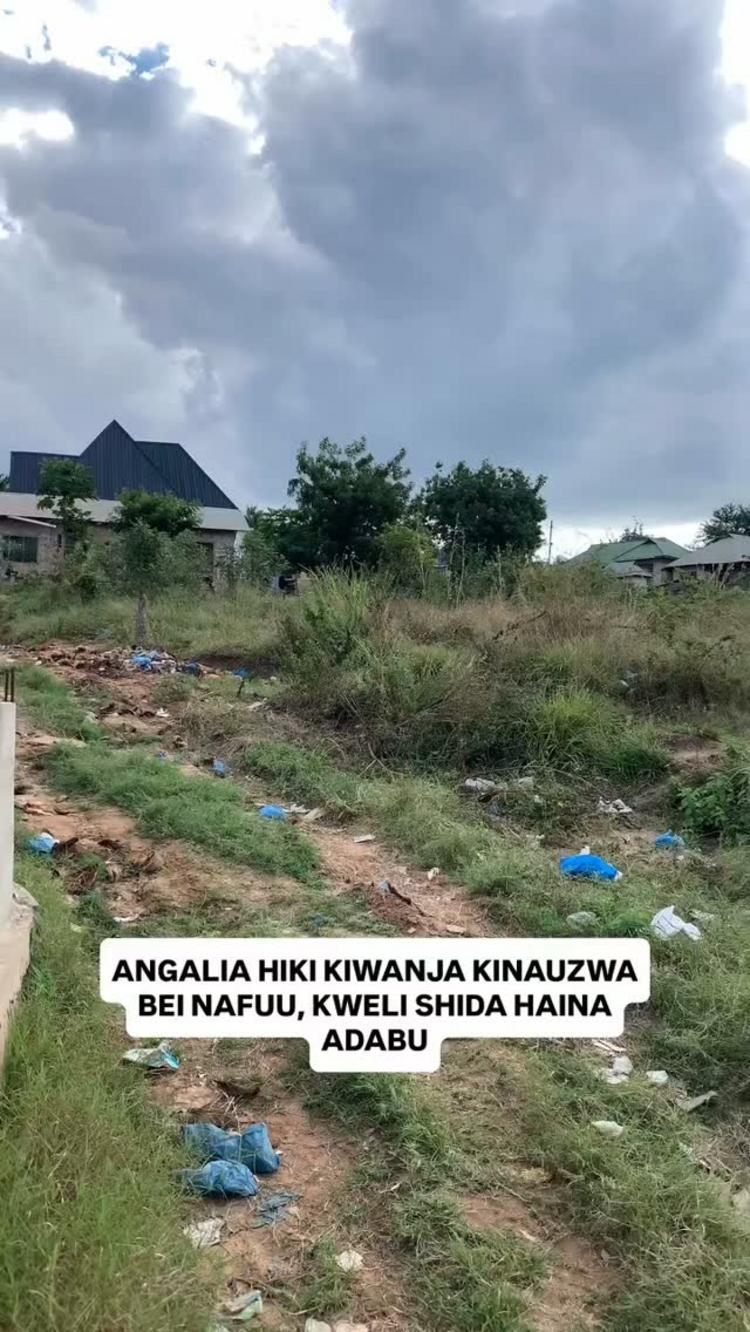 video thumbnail video thumbnail
