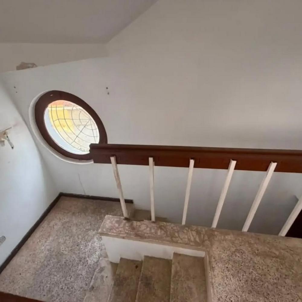 media -3 media -3