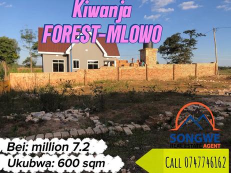 Kiwanja kinauzwa Forest Mlowo, Songwe (600 sqm) Kiwanja kinauzwa Forest Mlowo, Songwe (600 sqm)