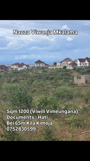 Plot for sale in Makulu Mkalama, Dodoma sqm 1200