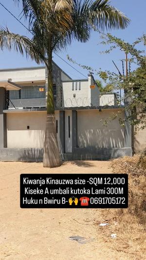 Residential Plot for Sale in Kiseke A, Mwanza (12000 sqm)