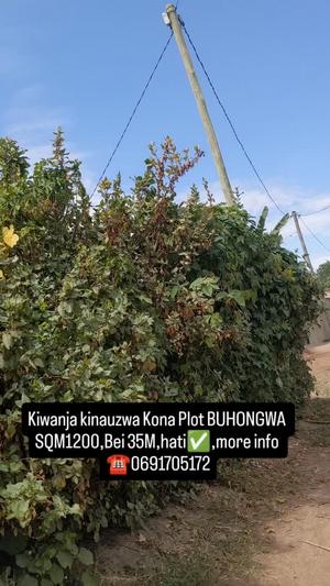 Plot for sale in Buhongwa, Mwanza sqm 1200 Plot for sale in Buhongwa, Mwanza sqm 1200