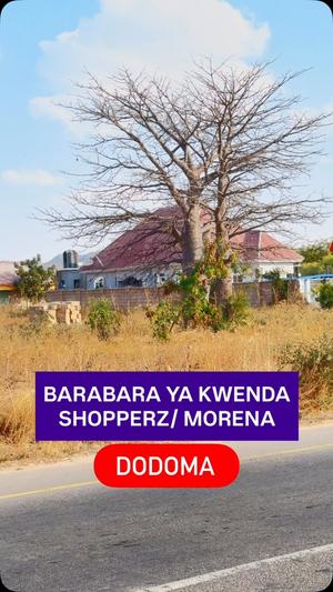 Kiwanja kinauzwa Kisasa, Dodoma sqm 1100 Kiwanja kinauzwa Kisasa, Dodoma sqm 1100