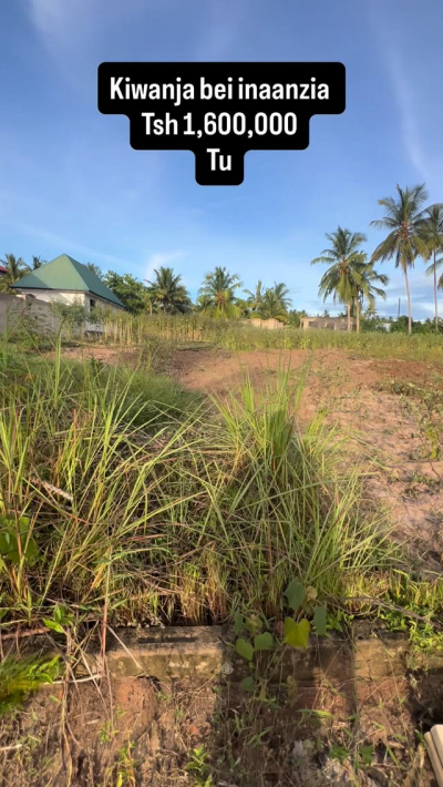 Viwanja vinauzwa Njia Panda, Kilimanjaro Viwanja vinauzwa Njia Panda, Kilimanjaro