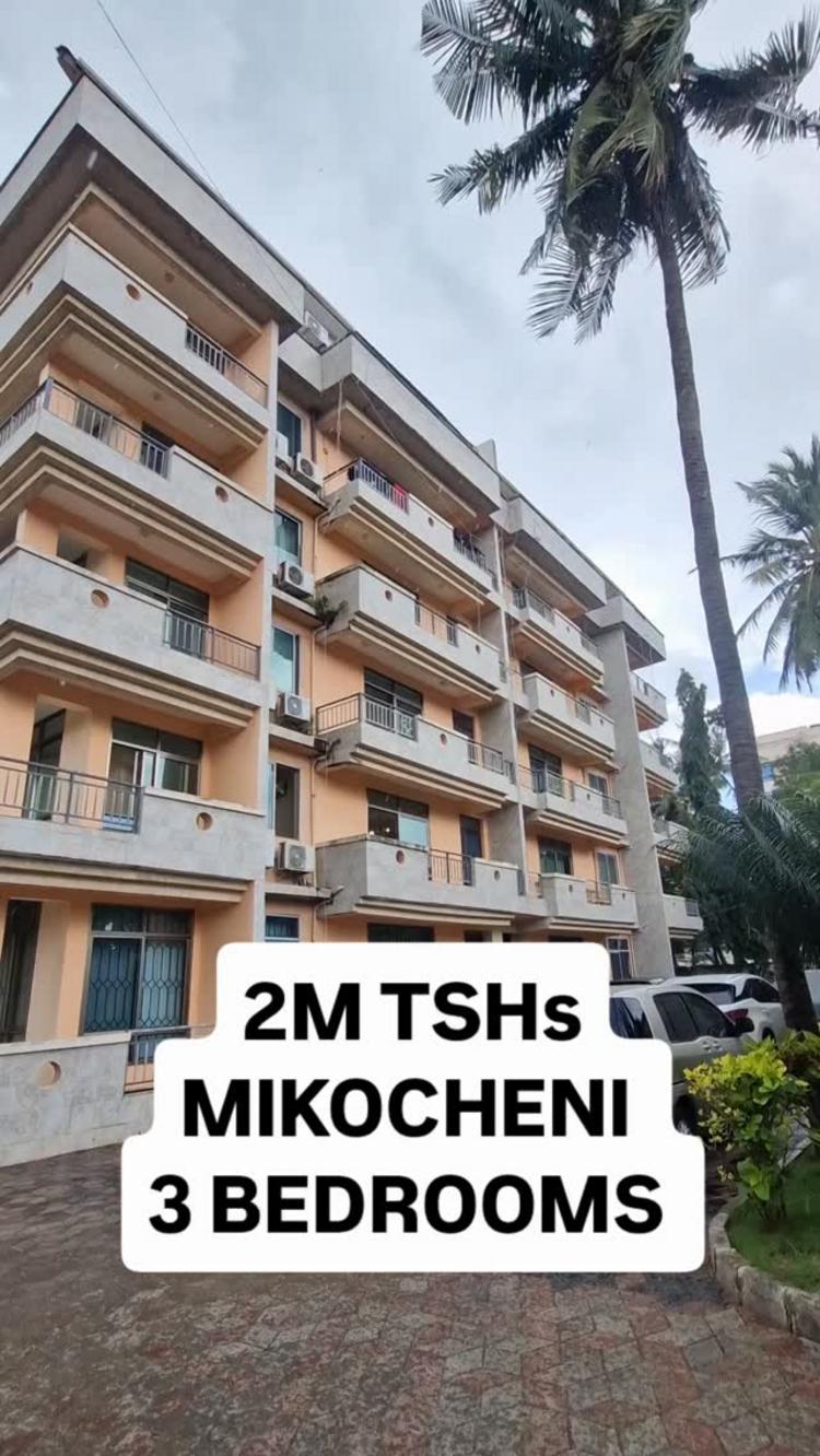 video thumbnail video thumbnail