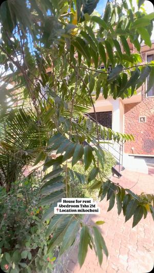 4 Bedrooms House for Rent in Mikocheni, Dar Es Salaam