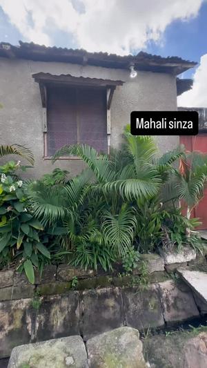 House for Sale in Sinza, Dar Es Salaam (288 sqm) House for Sale in Sinza, Dar Es Salaam (288 sqm)