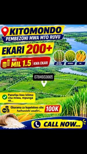 Shamba linauzwa Kitomondo, Pwani (200 acre) Shamba linauzwa Kitomondo, Pwani (200 acre)