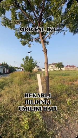 Kiwanja kinauzwa Mbweni Jkt, Dar Es Salaam (1 acre)