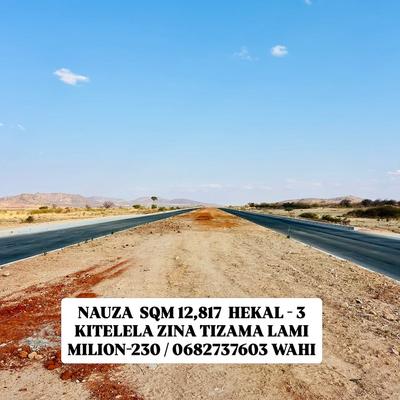 Residential Plot for Sale in Kitelela, Dodoma (12817 sqm) Residential Plot for Sale in Kitelela, Dodoma (12817 sqm)