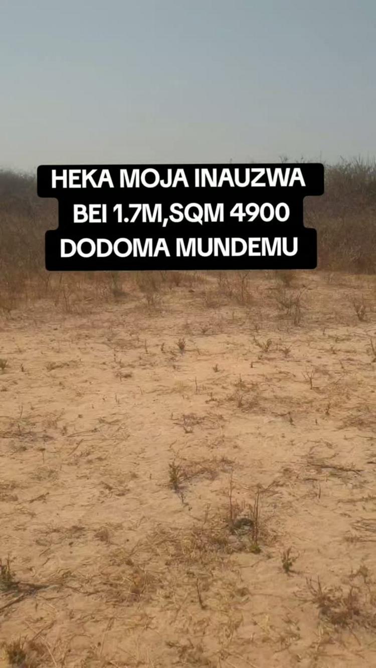 media -1 media -1