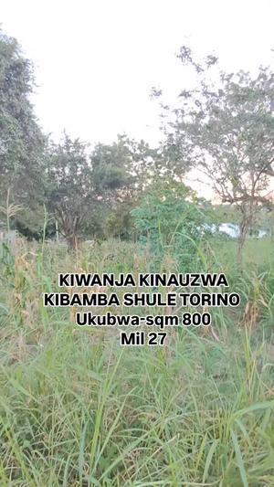 Plot for sale in Kibamba Shule Kibwegere Road, Dar Es Salaam sqm 800