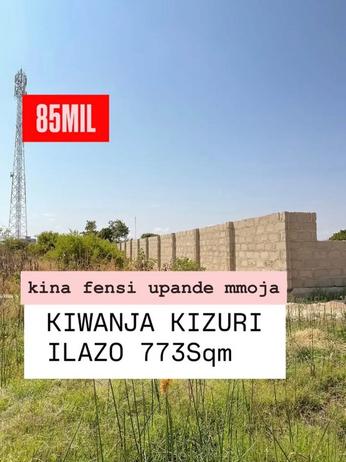 Kiwanja kinauzwa Ilazo, Dodoma sqm 773 Kiwanja kinauzwa Ilazo, Dodoma sqm 773