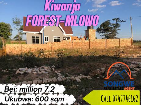 Residential Plot for Sale in Forest Mlowo, Songwe (600 sqm)
