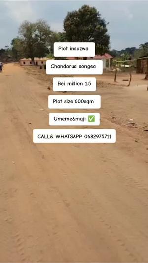 Residential Plot for Sale in Chandarua, Ruvuma (600 sqm)