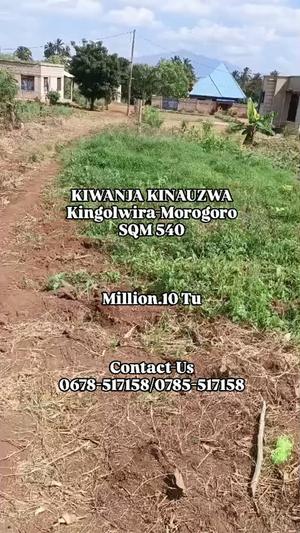 Residential Plot for Sale in Kingolwira, Morogoro (540 sqm)