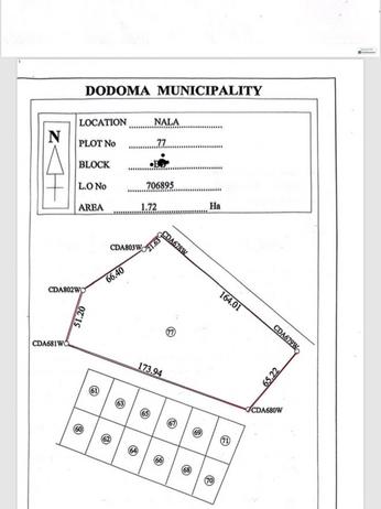 Kiwanja (Commercial Plot) kinauzwa Nala Dodoma (17200 sqm)