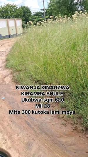 Kiwanja kinauzwa Kibamba Shule, Dar Es Salaam (620 sqm)