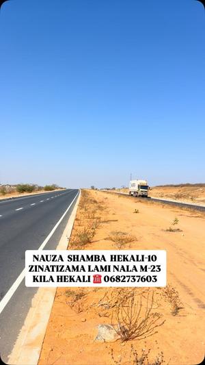 Shamba linauzwa Nala Ring Road, Dodoma (10 acre) Shamba linauzwa Nala Ring Road, Dodoma (10 acre)