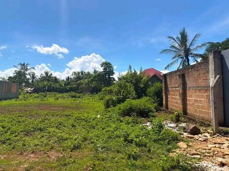 Residential Plot for Sale in Tungu Mahakamani, Zanzibar - Unguja South (396 sqm) Residential Plot for Sale in Tungu Mahakamani, Zanzibar - Unguja South (396 sqm)