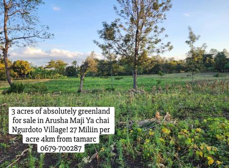 Farm for Sale in Maji Ya Chai, Arusha (3 acre) Farm for Sale in Maji Ya Chai, Arusha (3 acre)