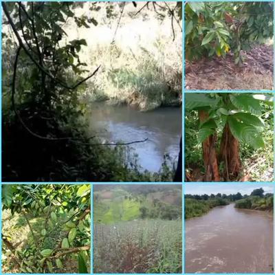 Farm for Sale in Morogoro Farm for Sale in Morogoro