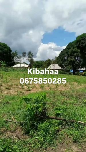Viwanja vinauzwa Kibaha Kwa Mfipa, Pwani