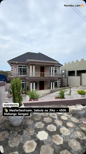 1 Bedroom Apartment for Rent in Makongo Songasi, Dar Es Salaam