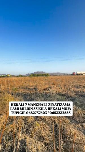 Farm for sale in Manchali, Dodoma acre 7 Farm for sale in Manchali, Dodoma acre 7