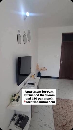 1 Bedroom Furnished House/Apartment for Rent in Mikocheni, Dar Es Salaam