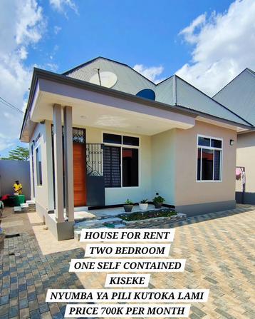 2 Bedrooms House for Rent in Mwanza 2 Bedrooms House for Rent in Mwanza