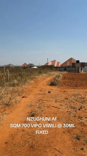 Kiwanja kinauzwa Nzuguni, Dodoma (700 sqm) Kiwanja kinauzwa Nzuguni, Dodoma (700 sqm)