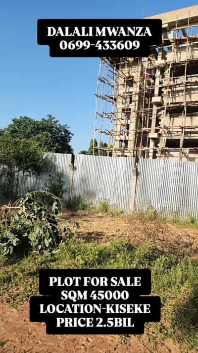 Kiwanja (Commercial Plot) kinauzwa Kiseke, Mwanza (45000 sqm)