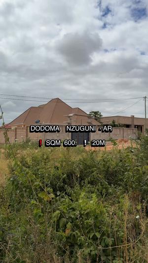 Kiwanja kinauzwa Nzuguni, Dodoma sqm 600