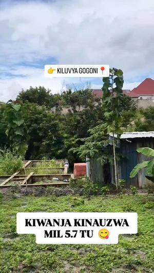 Kiwanja kinauzwa Kiluvya Gogoni, Pwani