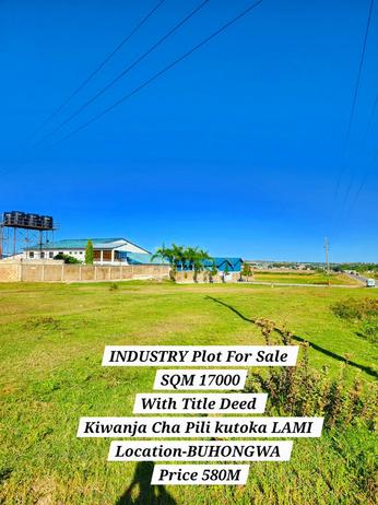 Kiwanja (Industrial Plot) inauzwa Buhongwa, Mwanza (17000 sqm)