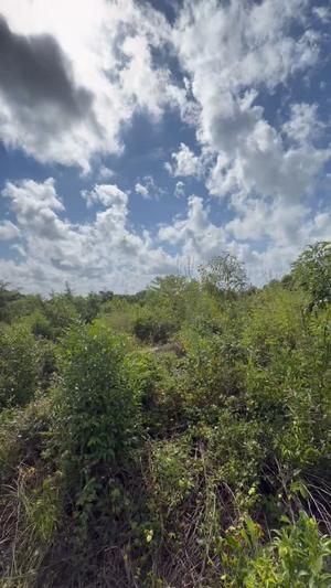 Residential Plot for Sale in Jambiani, Zanzibar (4200 sqm)