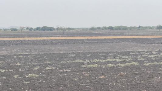 Shamba linauzwa Magu, Mwanza (10 acre)