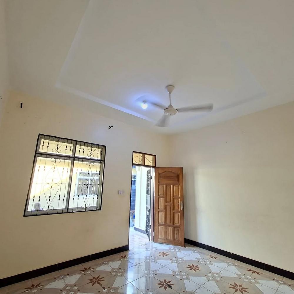 media -4
