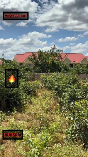 Plot for sale in Mipango, Dodoma sqm 1016
