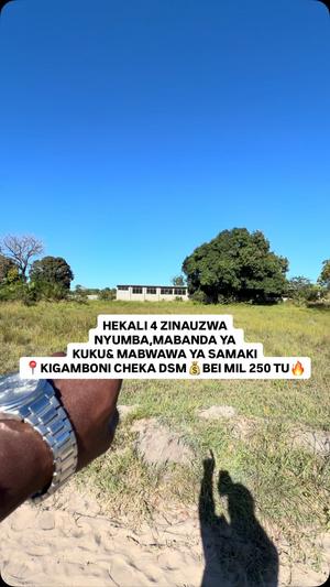 Shamba linauzwa Cheka, Kigamboni, Dar Es Salaam acre 4 Shamba linauzwa Cheka, Kigamboni, Dar Es Salaam acre 4